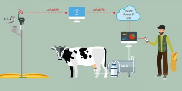 Как молочная ферма увеличила производство молока на 18% с помощью технологии IoT и машинного обучения