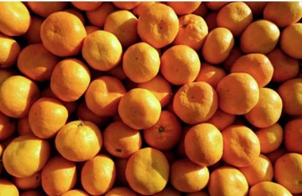 <br />
Диетолог рассказала, чего опасаться любителям мандаринов<br />
