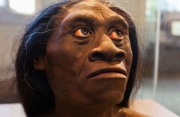 <br />
Ученые обнаружили новый вид возможного предка современного человека<br />
