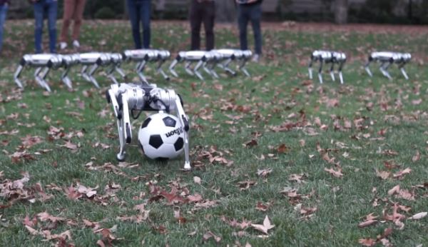 Компания роботов Mini Cheetah играет в футбол в кампусе MIT